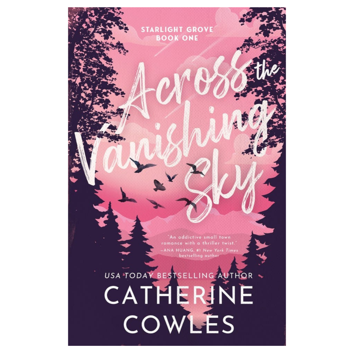 Across The Vanishing Sky by Catherine Cowles
