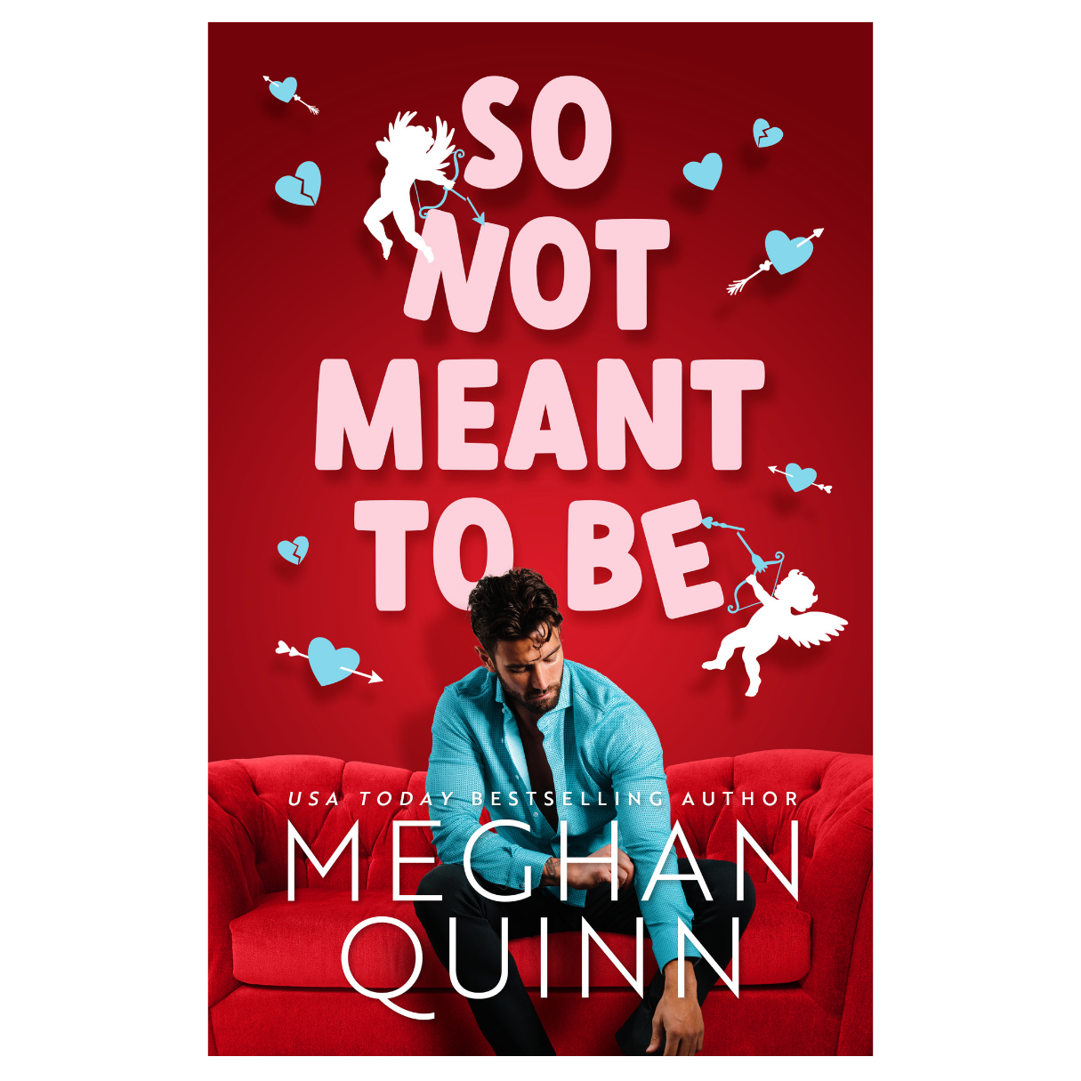 So Not Meant To Be by Meghan Quinn